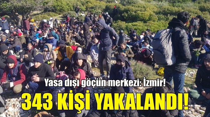 İzmir'de 343 kaçak göçmen daha yakalandı!