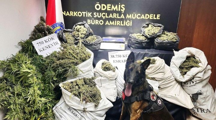 İzmir'de 38 kilo 750 gram esrar ele geçirildi