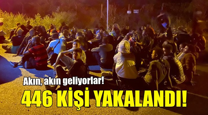 İzmir'de 446 kaçak göçmen yakalandı!