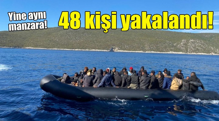 İzmir'de 48 kaçak göçmen yakalandı!