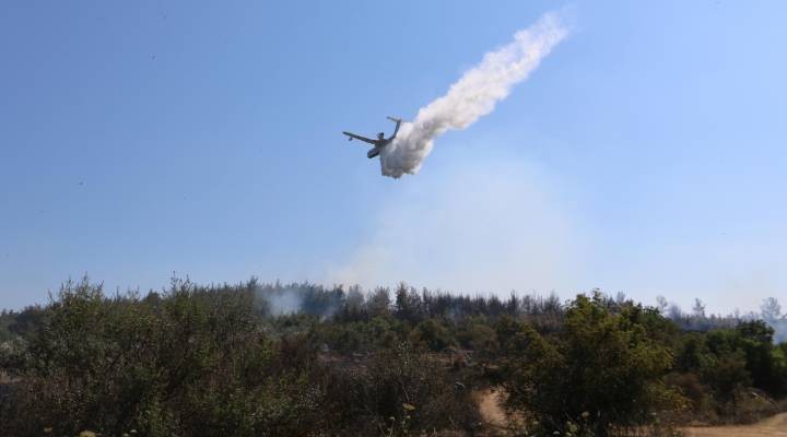 İzmir'de 5 hektarlık ormanlık alan yandı