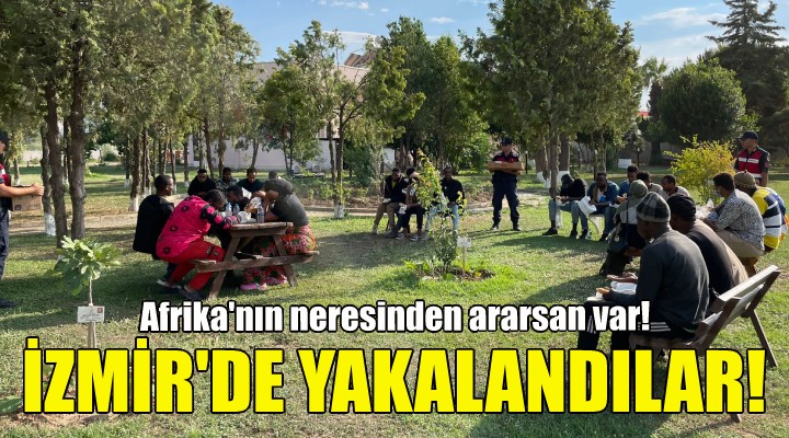 İzmir'de 53 kaçak göçmen yakalandı!