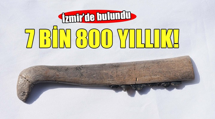 İzmir'de 7 bin 800 yıllık orak bulundu!