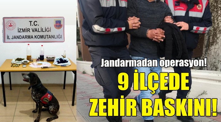 İzmir'de 9 ilçede zehir baskını!