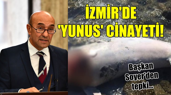 İzmir'de 'Yunus' cinayeti!