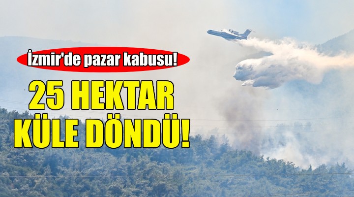 İzmir'de acı bilanço: 1 günde 25 hektar küle döndü!