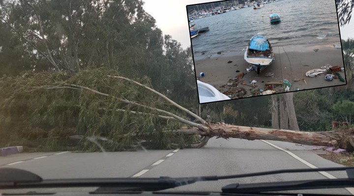 İzmir'de ağaçlar devrildi, tekneler battı