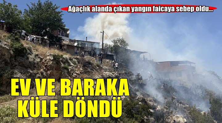 İzmir'de ağaçlık alanda çıkan yangında bir ev kullanılamaz hale geldi