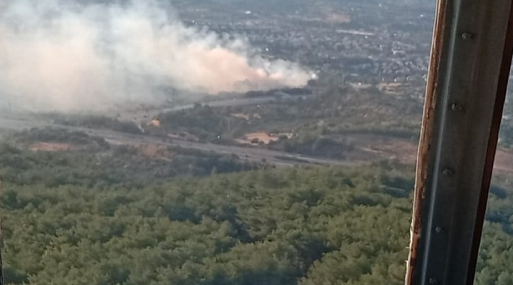 İzmir'de ağaçlık alanda yangın