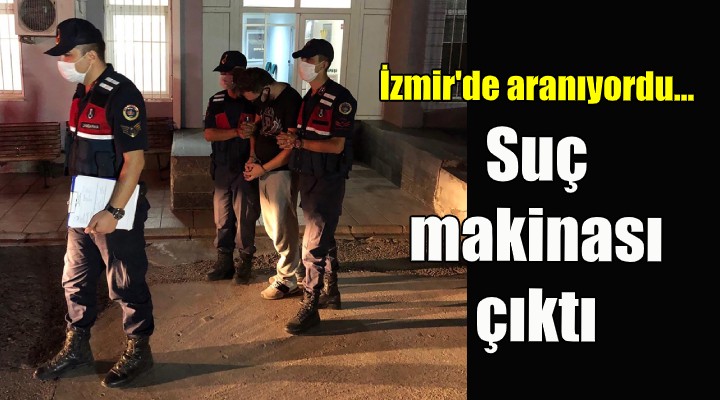 İzmir'de aranan dolandırıcılık şüphelisi yakalandı