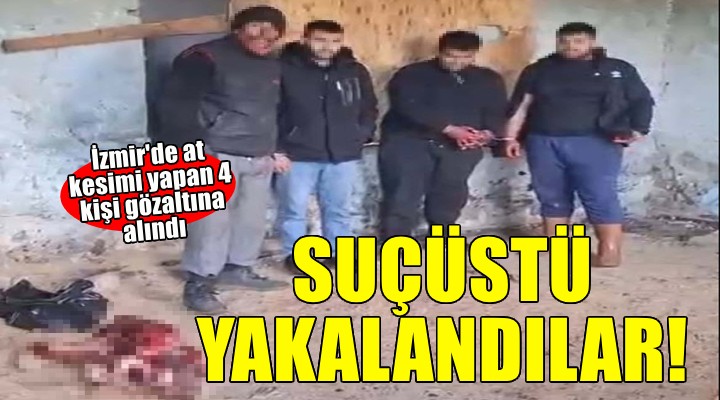 İzmir'de at kesimine suçüstü