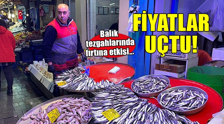 İzmir'de balık fiyatları fırladı!