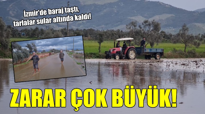 İzmir'de baraj taştı, tarlalar sular altında kaldı!