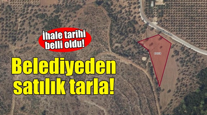 İzmir'de belediyeden satılık tarla!