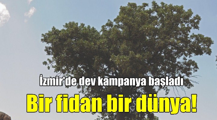 İzmir'de bir fidan bir dünya kampanyası başladı