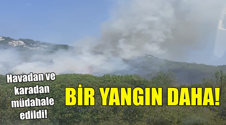 İzmir'de bir orman yangını daha!