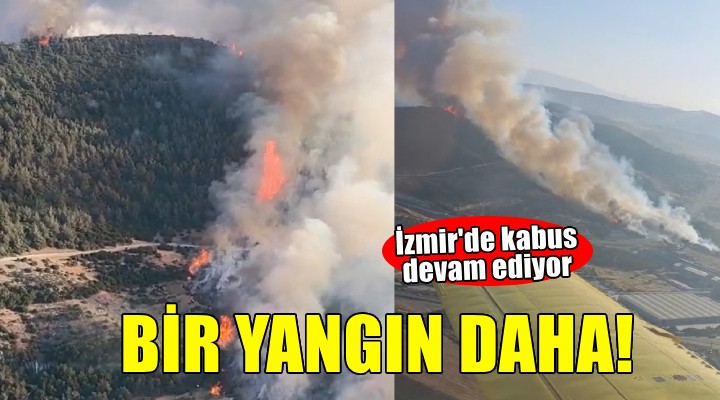İzmir'de bir orman yangını daha!