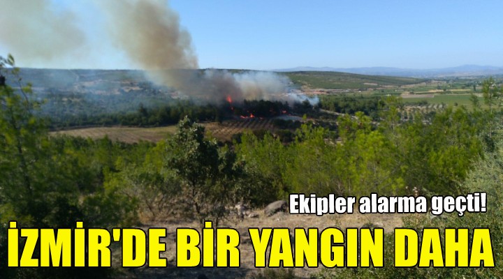 İzmir'de bir yangın daha!