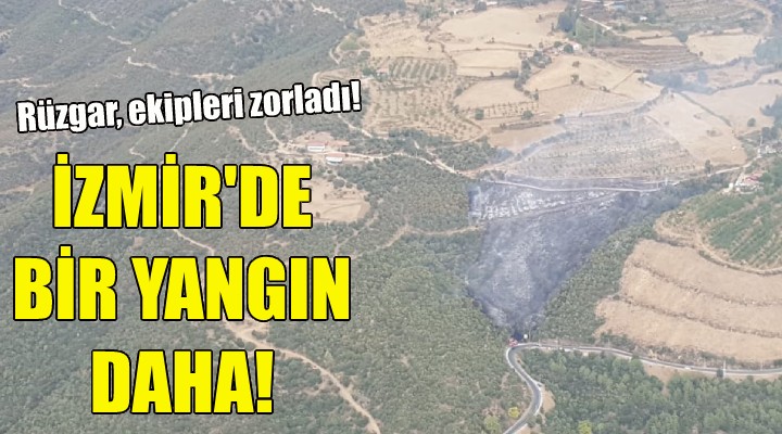 İzmir'de bir yangın daha!