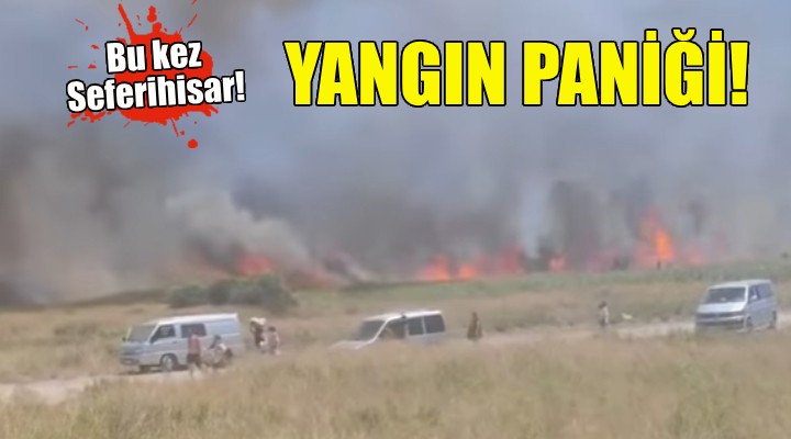 İzmir'de korkutan yangın kontrol altına alındı!