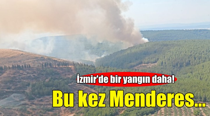 İzmir'de bir yangın daha... Bu kez Menderes!