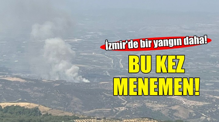 İzmir'de bir yangın daha... Bu kez Menemen!