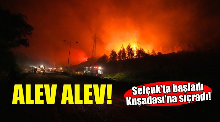 İzmir'de bir yangın daha... Bu kez Selçuk!