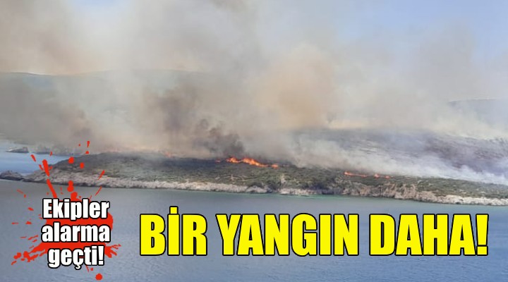 İzmir'de bir yangın daha... Ekipler alarma geçti!