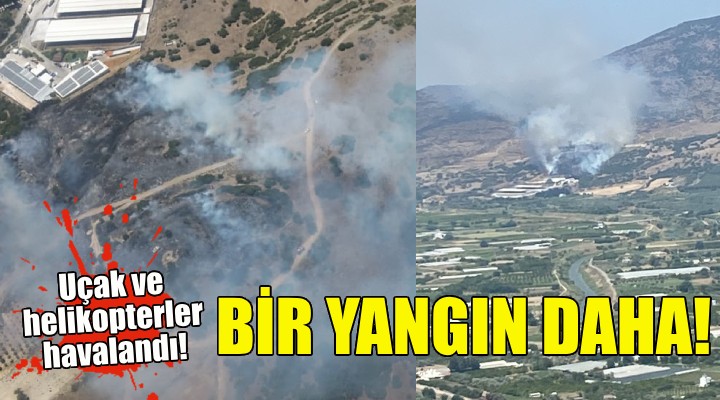 İzmir'de bir yangın daha... Uçak ve helikopterler havalandı!