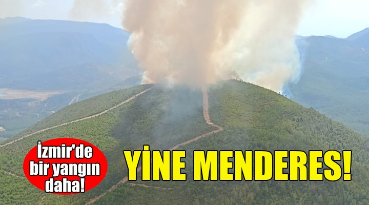 İzmir'de bir yangın daha... Yine Menderes!