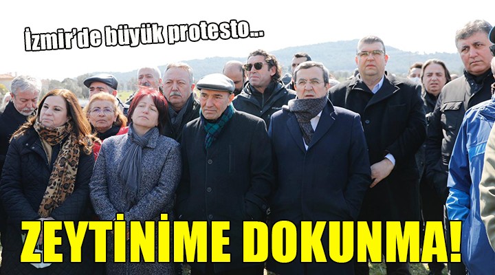 İzmir'de büyük protesto: ''ZEYTİNİME DOKUNMA''