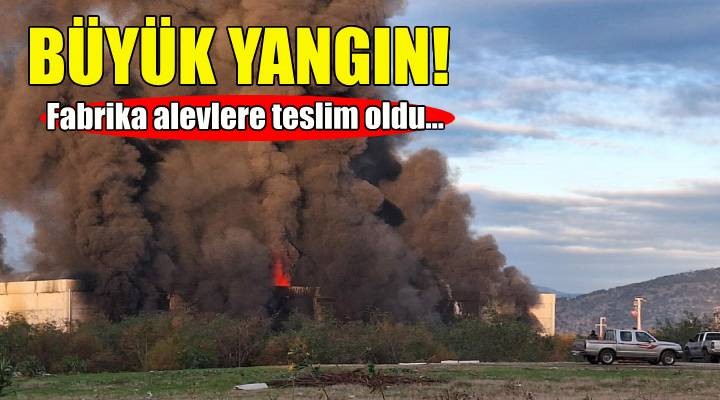 İzmir'de büyük yangın... Fabrika alevlere teslim oldu!