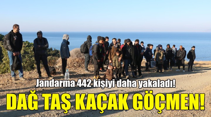 İzmir'de dağ taş kaçak göçmen!