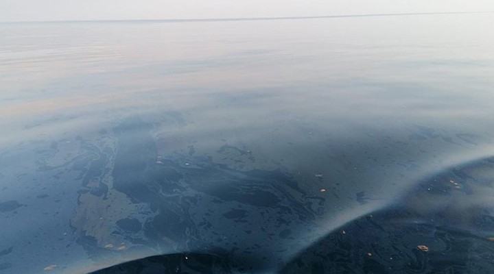 İzmir'de denizde paniğe neden olan kirlilik