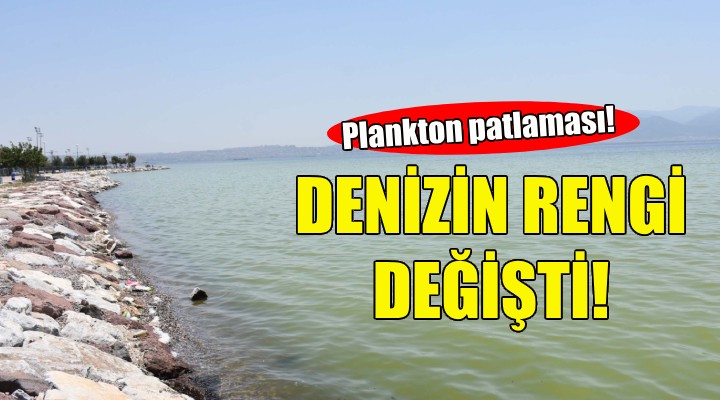 İzmir'de denizin rengi değişti!