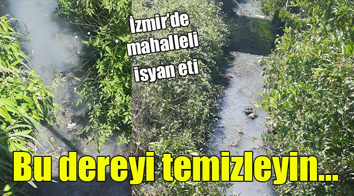 İzmir'de dere kirliliği isyanı