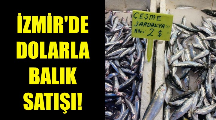 İzmir'de dolarla balık satışı!
