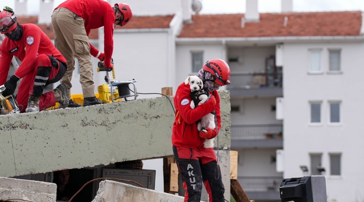 İzmir'de enkazda hayvan kurtarma tatbikatı