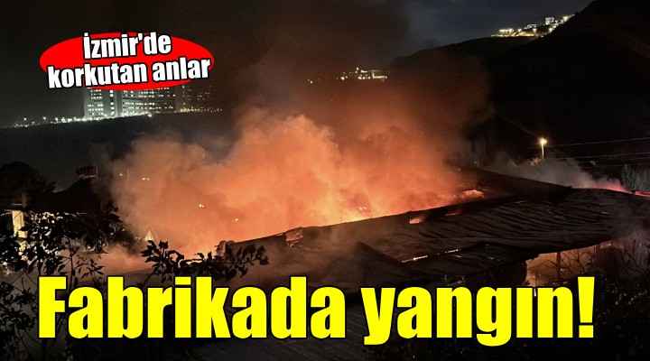 İzmir'de fabrika yangını...