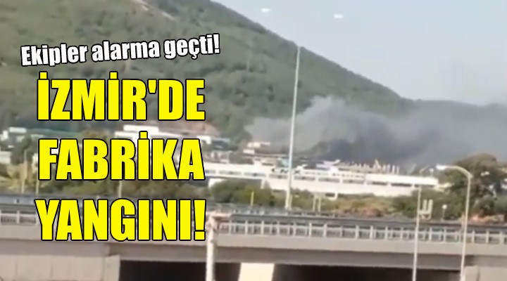 İzmir'de fabrika yangını!