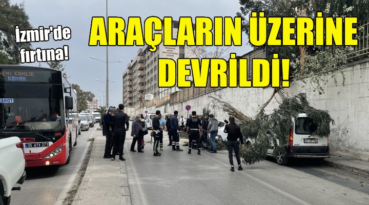 İzmir'de fırtına... Araçların üzerine devrildi!