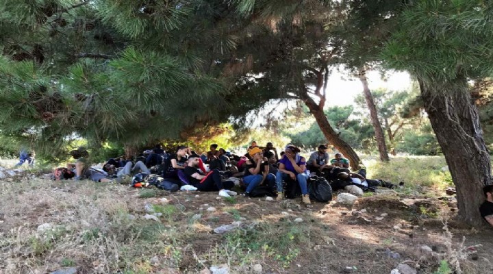 İzmir'de göçmen kaçakçılığına 4 tutuklama