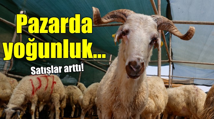 İzmir'de hayvan pazarlarında yoğunluk..