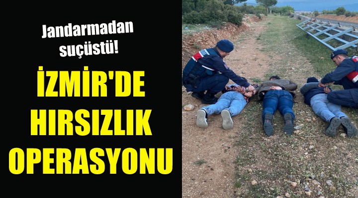 İzmir'de hırsızlık operasyonu!