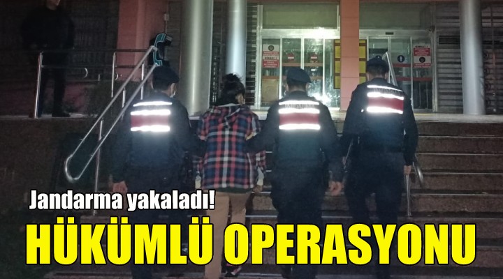 İzmir'de hükümlü operasyonu!