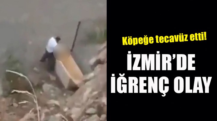 İzmir'de iğrenç olay... Köpeğe tecavüz etti!