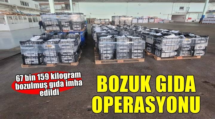 İki ilçede 67 bin 159 kilogram bozulmuş gıda imha edildi