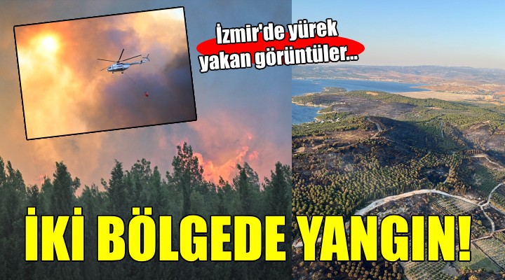 İzmir'de iki bölgede orman yangını!