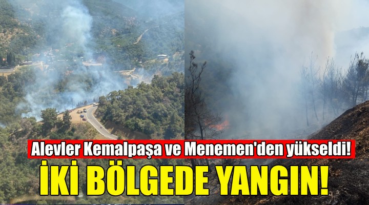 İzmir'de iki bölgede orman yangını!