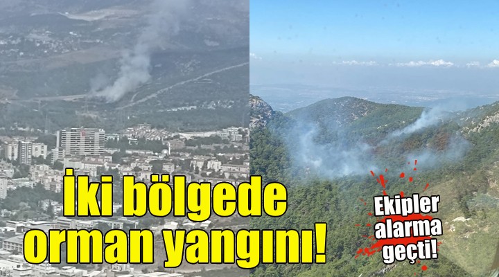 İzmir'de iki bölgede orman yangını!